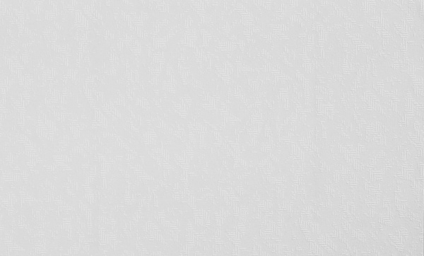 Шпалери вінілові на флізеліновій основі Bravo 86066BR90 1,06x10,05 м 