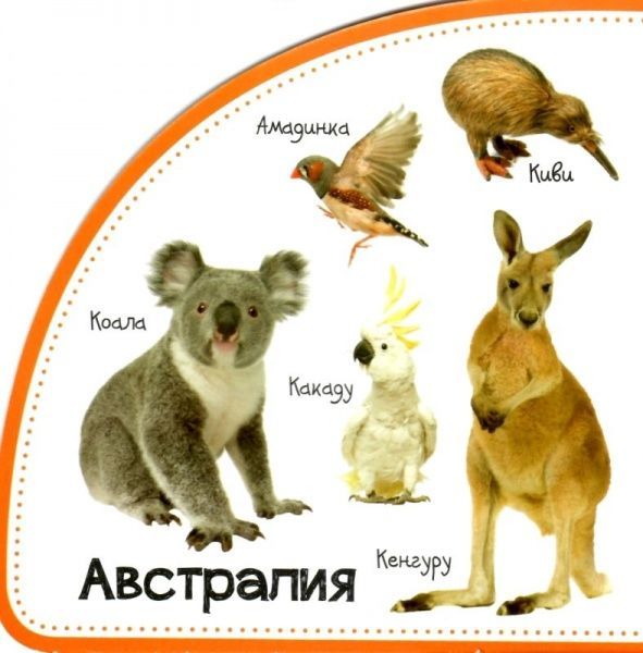 Книга Мария Жученко «50 первых слов: Животные. Смотрим и запоминаем» 978-966-942-068-8