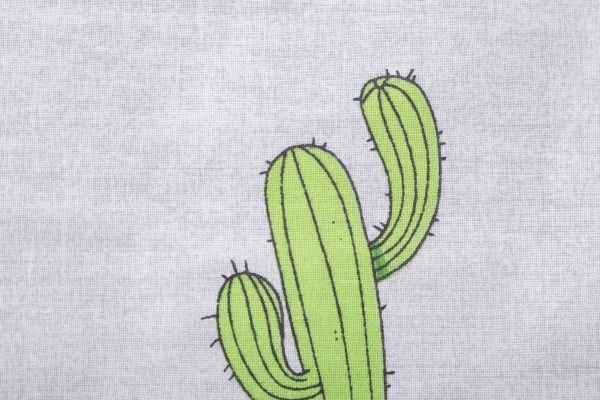 Комплект постельного белья Україна «Кактус» желтый 