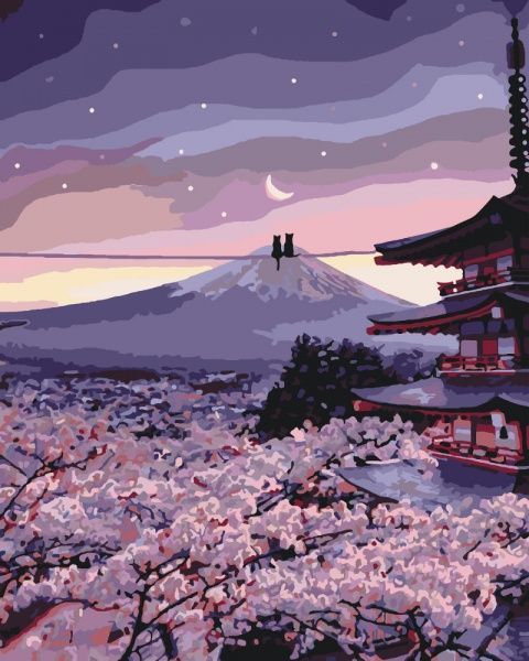 Картина за номерами Чарівна пара Ідейка 