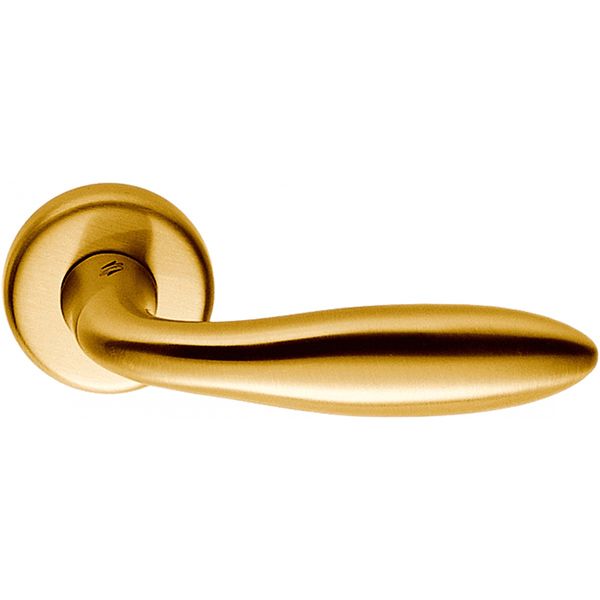 Ручка на розетке  Colombo Mach матовое золото