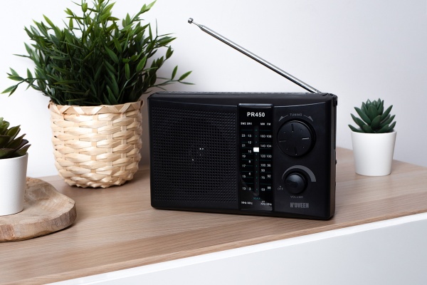 Портативный радиоприемник N'OVEEN PR450
