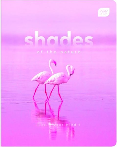 Тетрадь школьная 48 листов в клетку One color в ассортименте InterDRUK