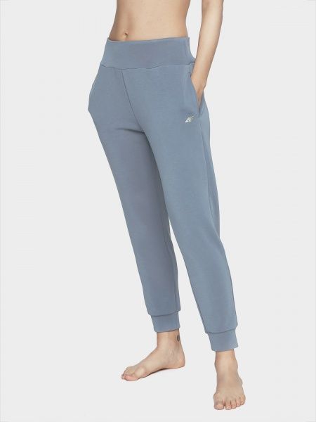 Штани 4F H4L21-SPDD011-32S р. L синій