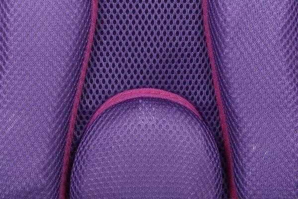 Ранець шкільний Пташки