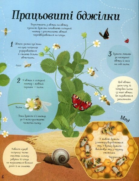 Книга Эмили Боун «Усе починається з насіння…як росте їжа» 978-617-7579-21-1