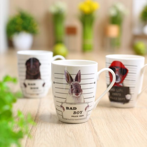 Чашка Sly Fox 350 мл фарфор Fiora