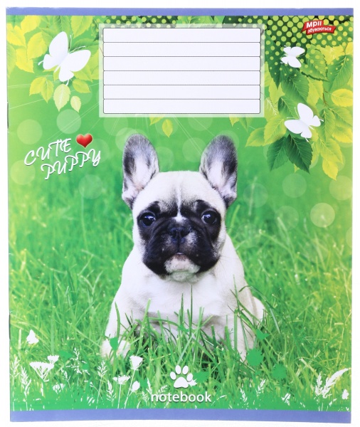 Тетрадь школьная 18 листов в линейку в ассортименте Мечты сбываются