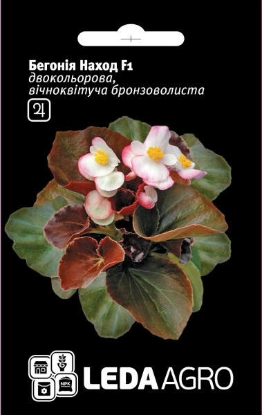 Насіння LedaAgro бегонія Наход F1 10 шт. (4820119791127)