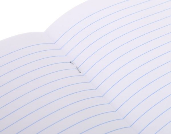 Тетрадь школьная Cat 18 листов линия 2 Мечты сбываются