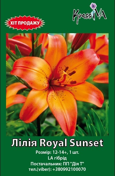Луковица лилия Royal Sunset 1 шт. 