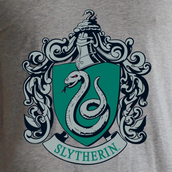 Футболка для дівчаток Harry Potter Serpentard р.170-176 сірий ABYTEX508M 