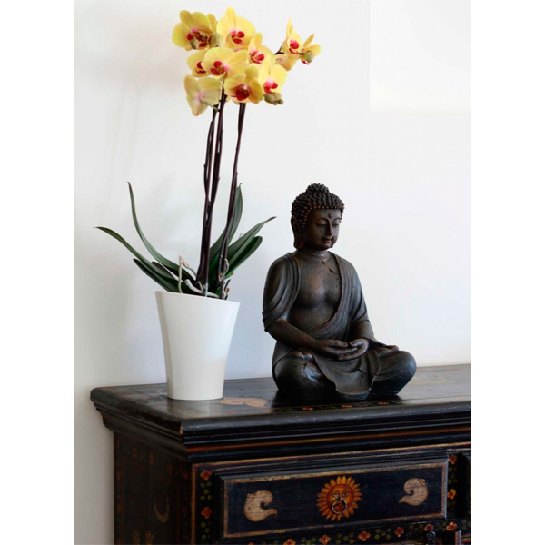 Кашпо пластикове Lamela Венус трикутний 3,6л жовтий/прозорий (375) 