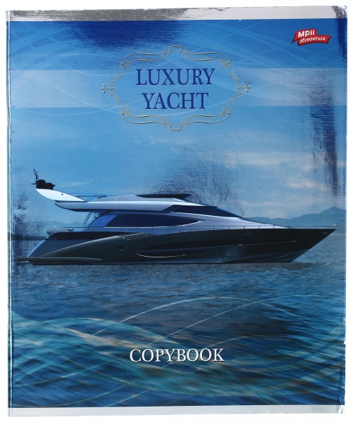 Тетрадь школьная серебро 4 листов в клеточку в ассортименте Мечты сбываются