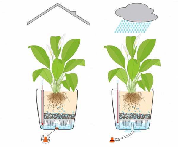 Вазон декоративный Lechuza Classico Premium LS 21 круглый 9,6л антрацит (16023) 