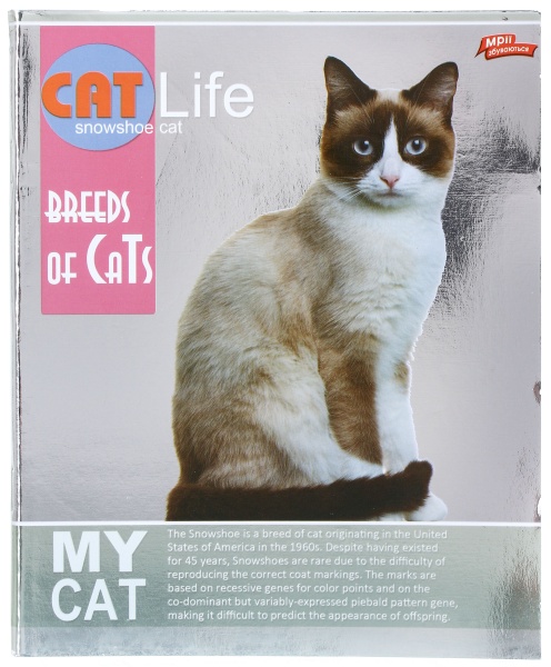 Зошит шкільний срібло 96 аркушів у клітинку в асортименті Мрії збуваються