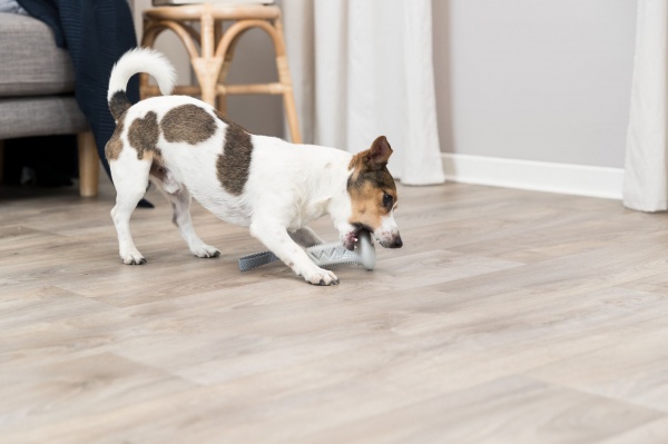 Игрушка Trixie для собак Колокольчик для лакомства с лентой резина/полиэстер 11 x 22 см 33412