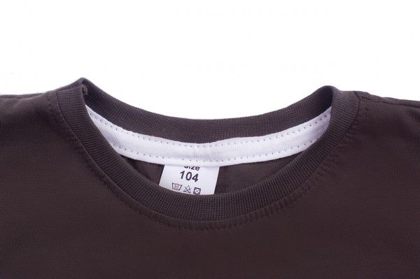 Футболка для хлопчиків Luna Kids з принтом Lets Go Wild р.146 графіт 