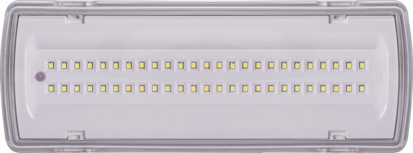 Светильник аварийный E.NEXT e.emerg.507L-50.led.Li.3h.IP65, не постоянный, 3 часа 50 LED белый l0660043 