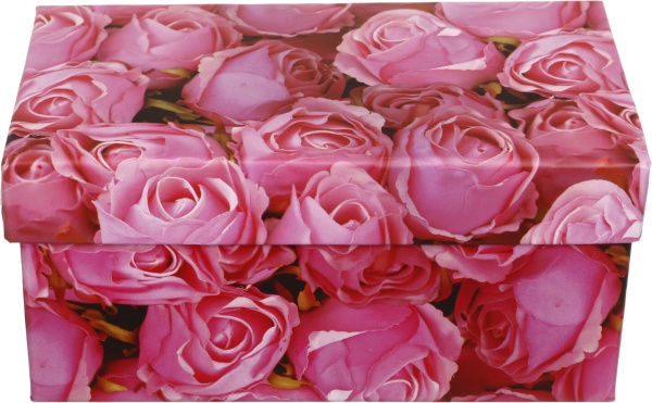 Коробка подарочная Art studio of happiness GS11717 21x13x9,5 см