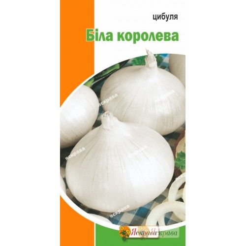 Семена Яскрава лук Белая Королева 1г (4823069911416)