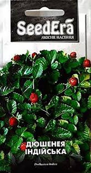 Насіння Seedera абутілон багаторічна 0,1 г