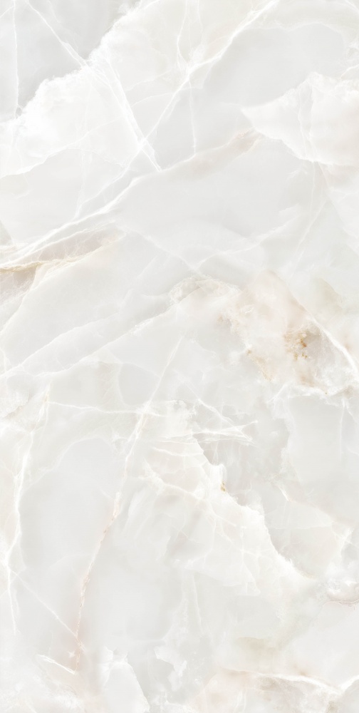 Плитка Allore Group Lunaria Silver F P R Somat 60х120 см