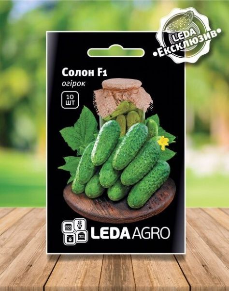 Насіння LedaAgro огірок Солон F1 10 шт. (4820119793916)