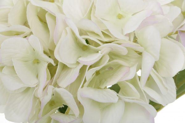 Рослина штучна Гортензія кремова 28175BR