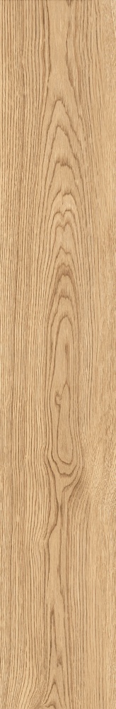 Плитка Allore Group Armario Honey F PR R Mat 19,8x120 см