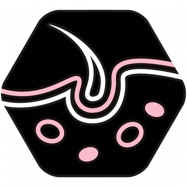 Корм сухий для малих порід Pro Plan Puppy з лососем 3 кг