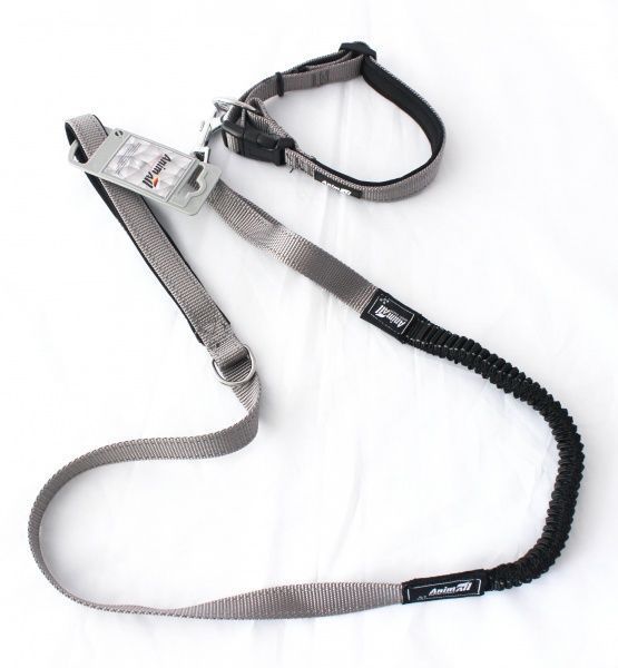 Ошейник с поводком AnimAll 15x1200 мм серый HL-LH 148