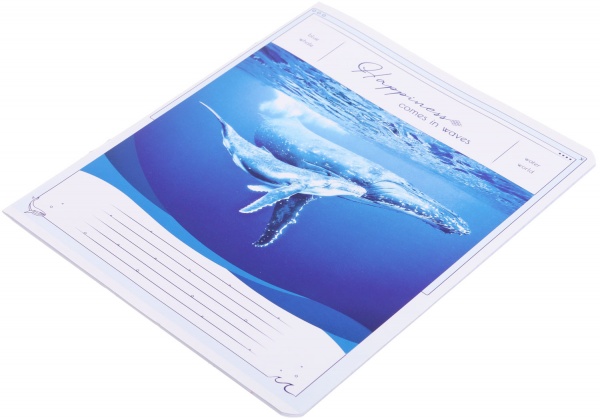 Тетрадь школьная Tadward коса