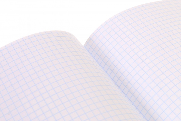 Тетрадь школьная Dino скоба 48 листов в клетку Мечты сбываются