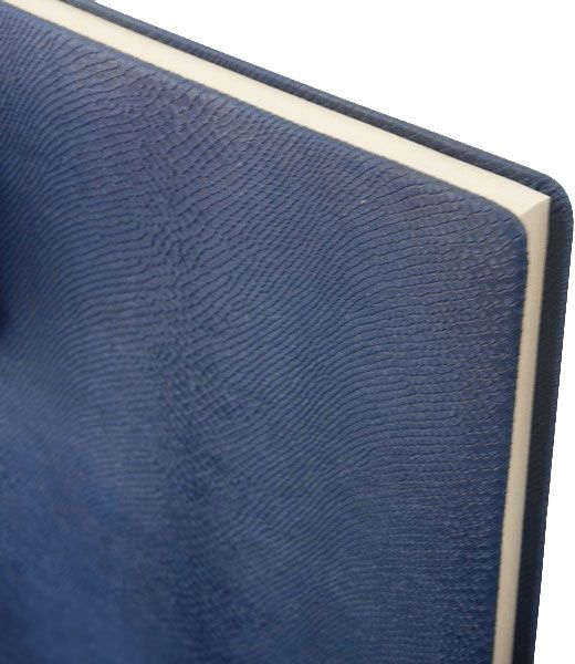 Щоденник недатований Amazonia синій А4 Buromax