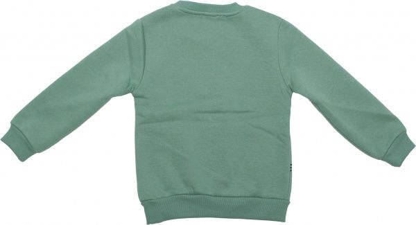 Свитшот ALG р.116 зеленый 621445 