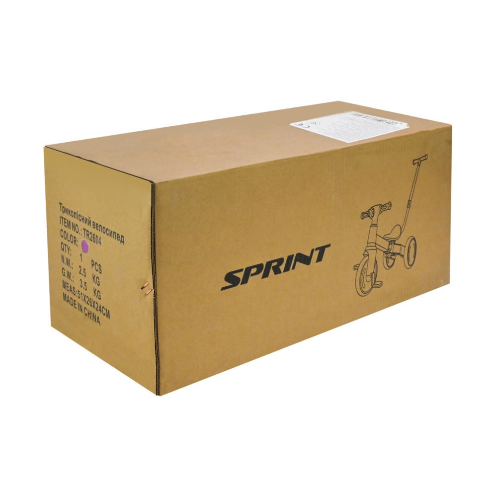 Велосипед трехколесный Shantou с родительской ручкой белый с фиолетовым TR2604