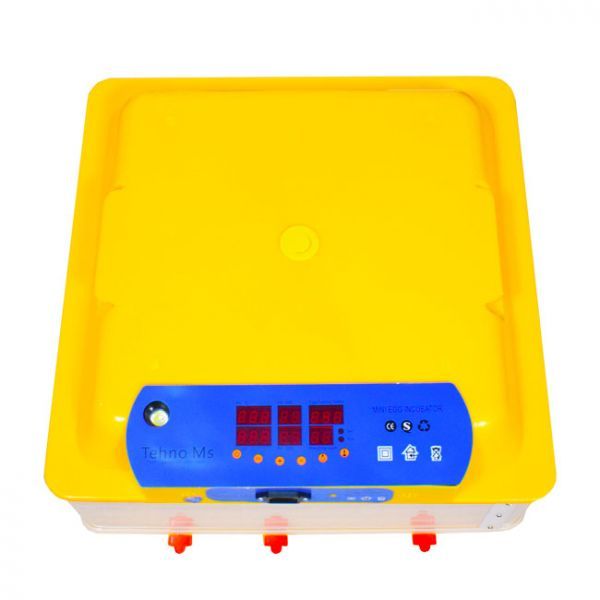 Инкубатор Инкубатор автоматический MS-56