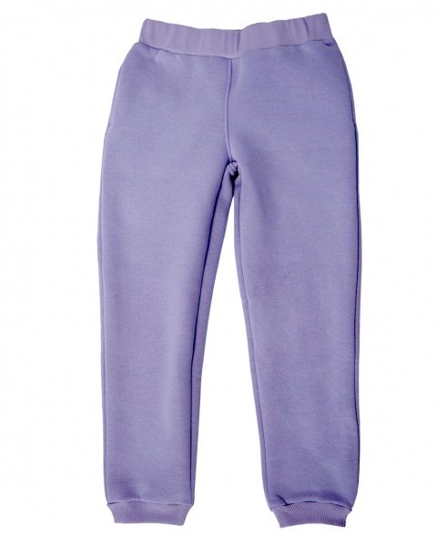 Штаны детские WP Merchandise р.146 сиреневый FWPPANTSCH22LL146 