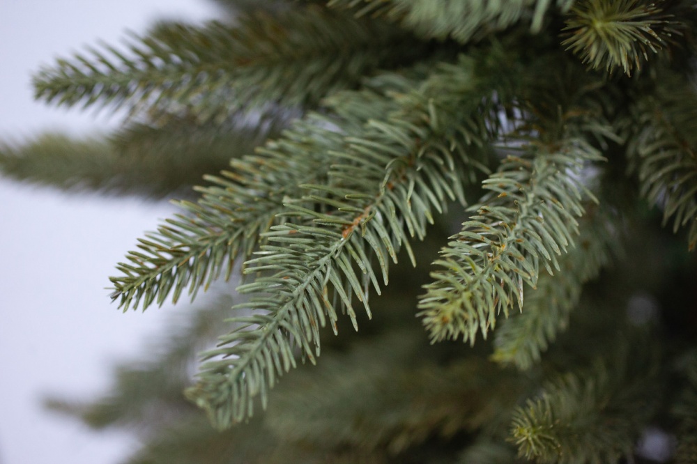 Искусственная елкарезино-пластикова, 120 см зеленый Китай