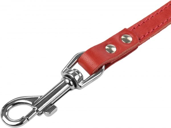 Поводок  №15 простроченный