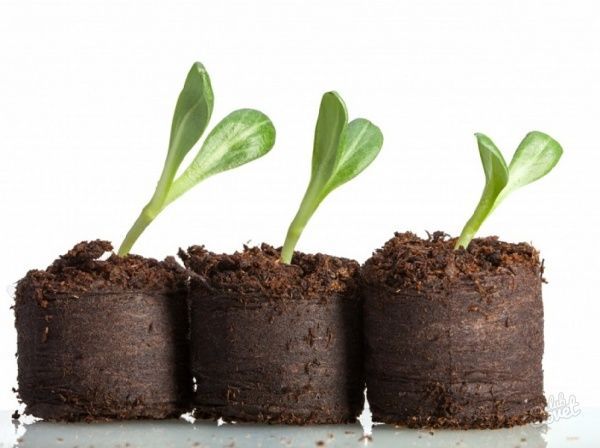 Торфяные таблетки в сеточке d42 мм 10 шт.