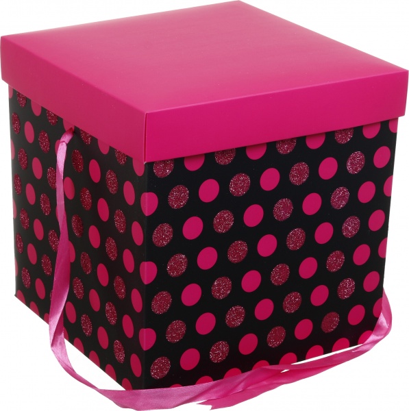 Коробка самозбірна EBXL9801 25х25 см