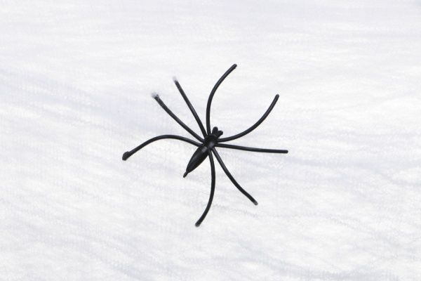 Подвесной декор Fun Паутина белая с двумя пауками 20 г YES