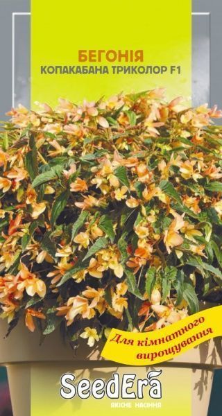 Насіння Seedera бегонія Копакабана триколор F1 5 шт. (4823073726907)