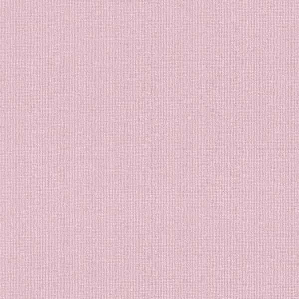 Rasch Fresh Up 496451 0.53x10.05 м