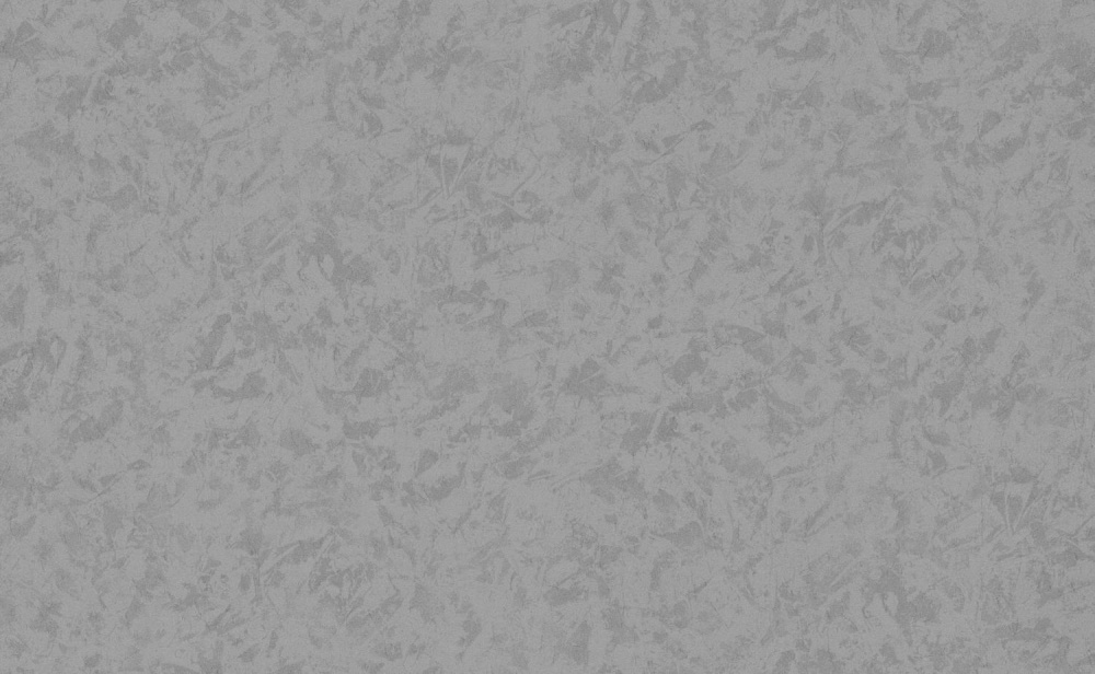 Шпалери вінілові на флізеліновій основі Bravo 81700BR28 1,06x10,05 м