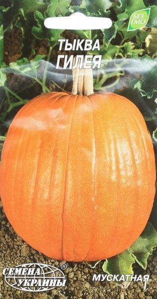 Семена Семена Украины тыква Гилея 3г
