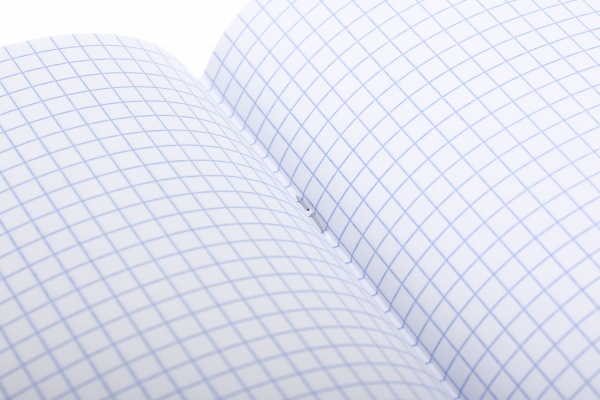 Зошит шкільний срібло 96 аркушів у клітинку в асортименті Мрії збуваються