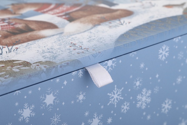 Шкатулка Зимний лес Luna